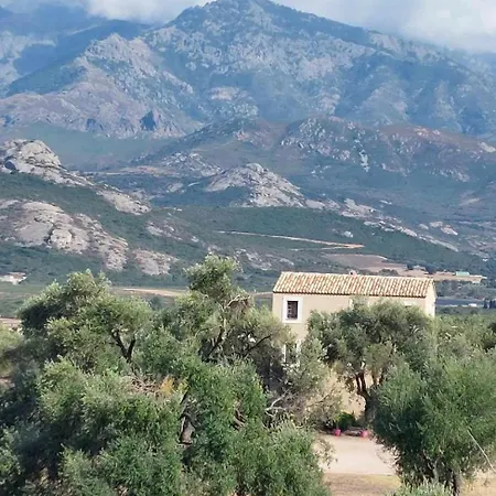 Calvi, 4-person With Pool, Quiet, Close To Beaches, Piscine, Calme