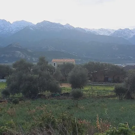 Calvi, 4-person With Pool, Quiet, Close To Beaches, Piscine, Calme Daire Calvi (Corsica)